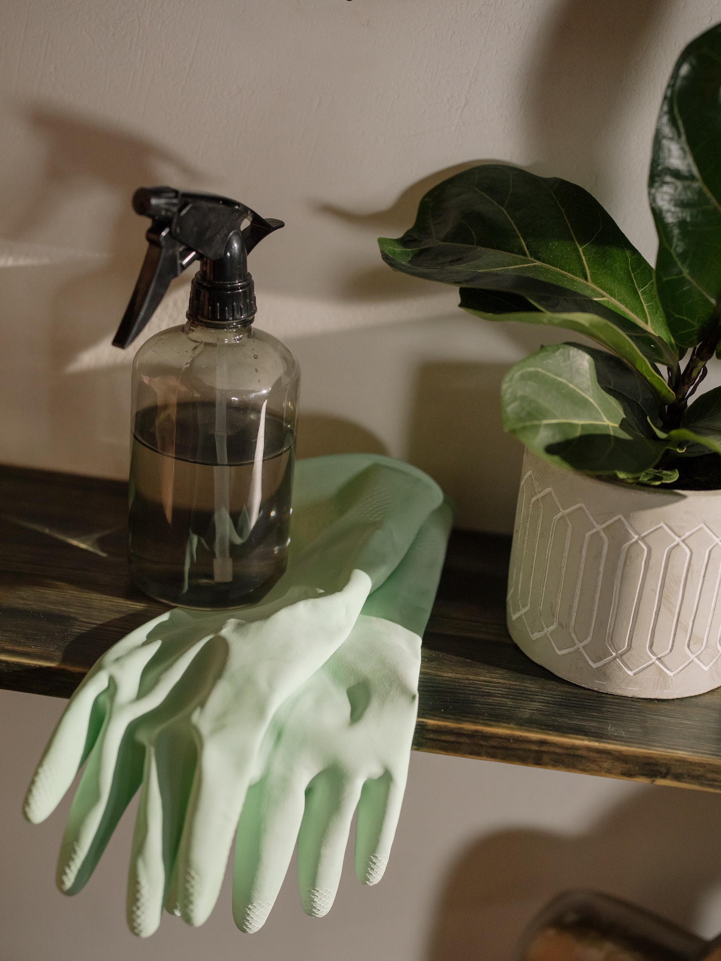 Handschuhe und eine Blume